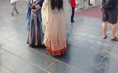 我是蜘蛛又怎样在线观看樱花